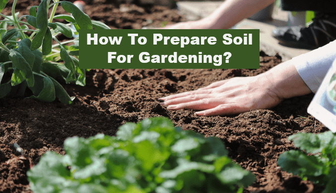 How To Prepare Soil For Gardening?