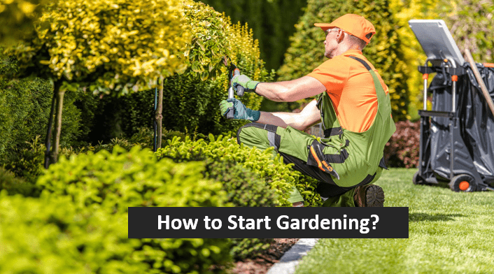 How to Start Gardening?