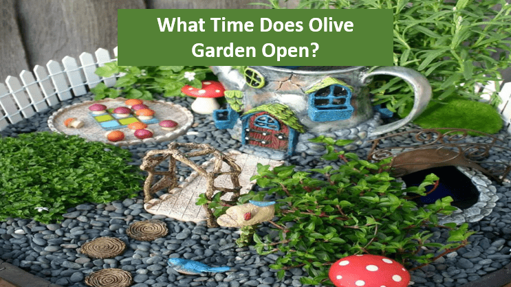 How to make a fairy garden?