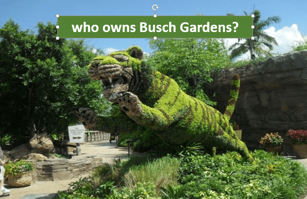 who owns Busch Gardens?