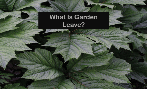 What Is Garden Leave?