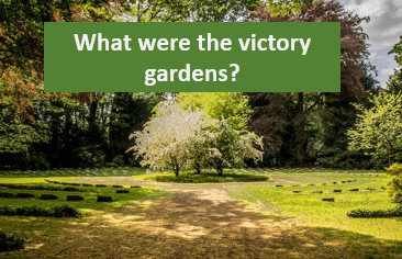 What were the victory gardens?