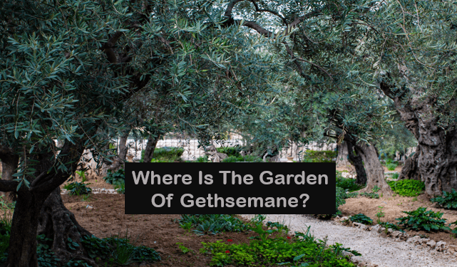 Where Is The Garden Of Gethsemane?