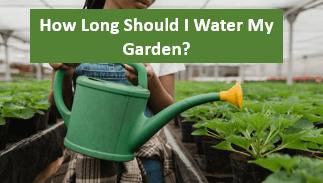 How Long Should I Water My Garden?