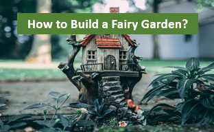 How to Build a Fairy Garden?