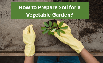 How to Prepare Soil for a Vegetable Garden?