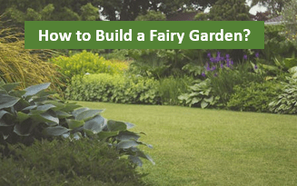 How to Start a Backyard Garden?