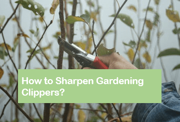How to Sharpen Gardening Clippers?

