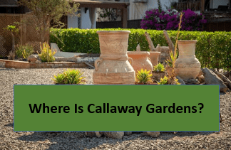 Where Is Callaway Gardens?