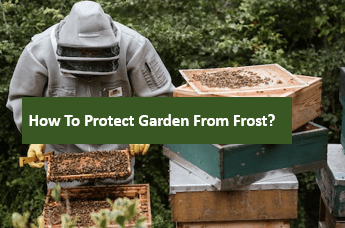 How to Protect Garden From Frost?