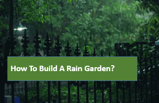 How to Build a Rain Garden?