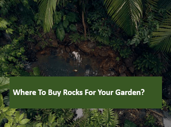 Where to Buy Rocks for Your Garden?