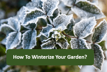 How To Winterize Your Garden?

